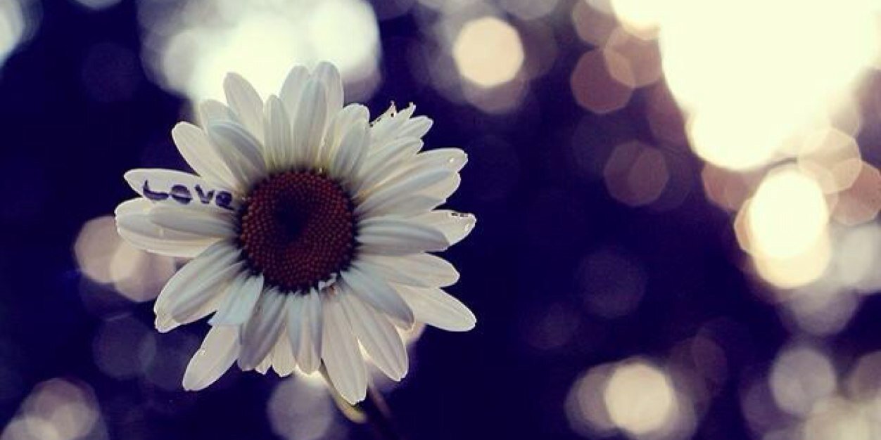 kuma04mmm's profile banner image