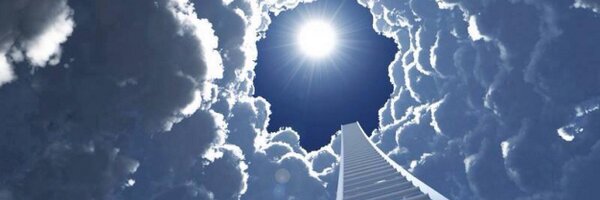 alexandraprince Profile Banner