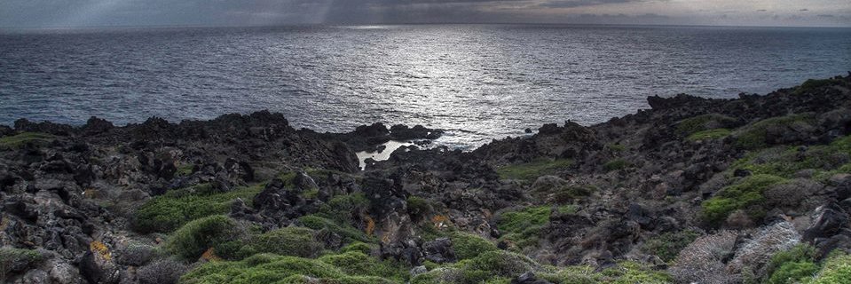 casano_angelo's profile banner image