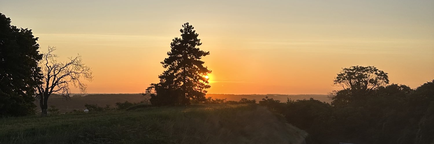SimgeEkici's profile banner image