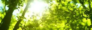 MrsGellert's profile banner image