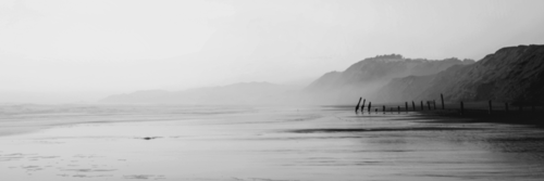 MyParodyStyles's profile banner image