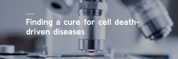 TomVBerghe Profile Banner