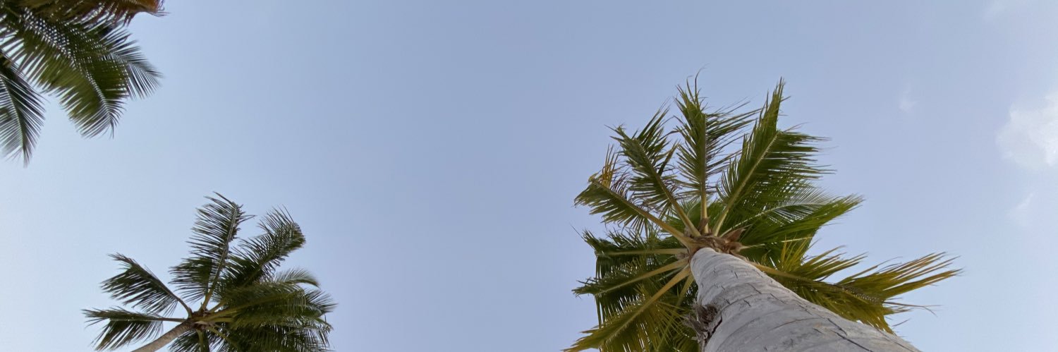 AliiNisham's profile banner image