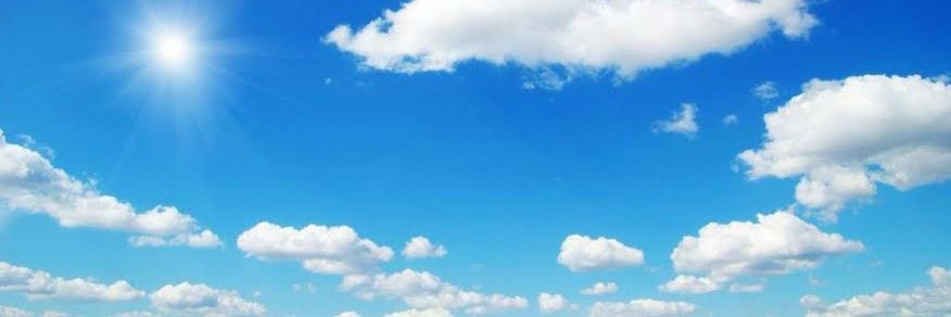 🌻🎀 banner