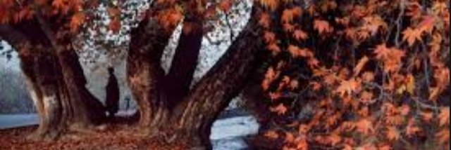 BhatIqra's profile banner image