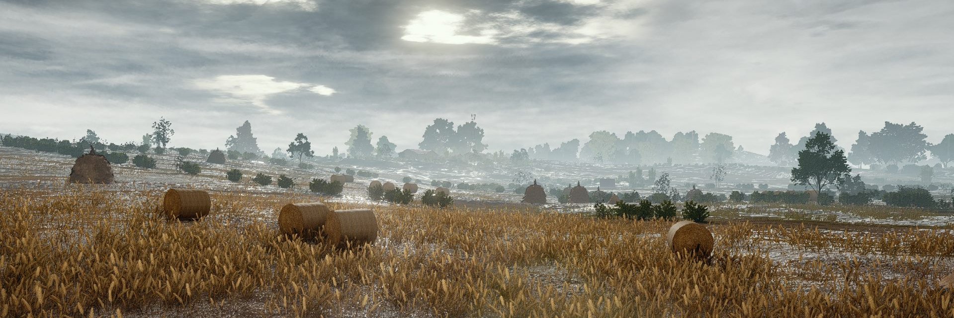tehkrayz's profile banner image