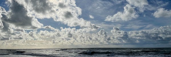 50Pips Profile Banner