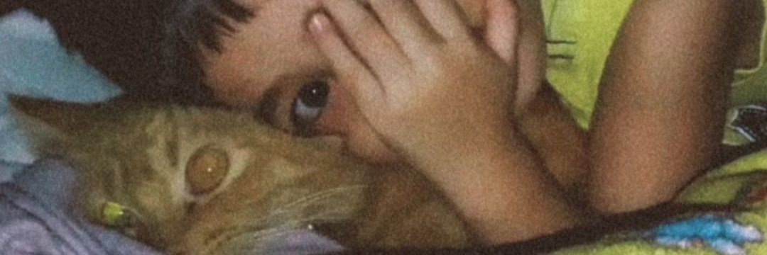 mafilustre's profile banner image