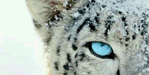 LourdesEci's profile banner image