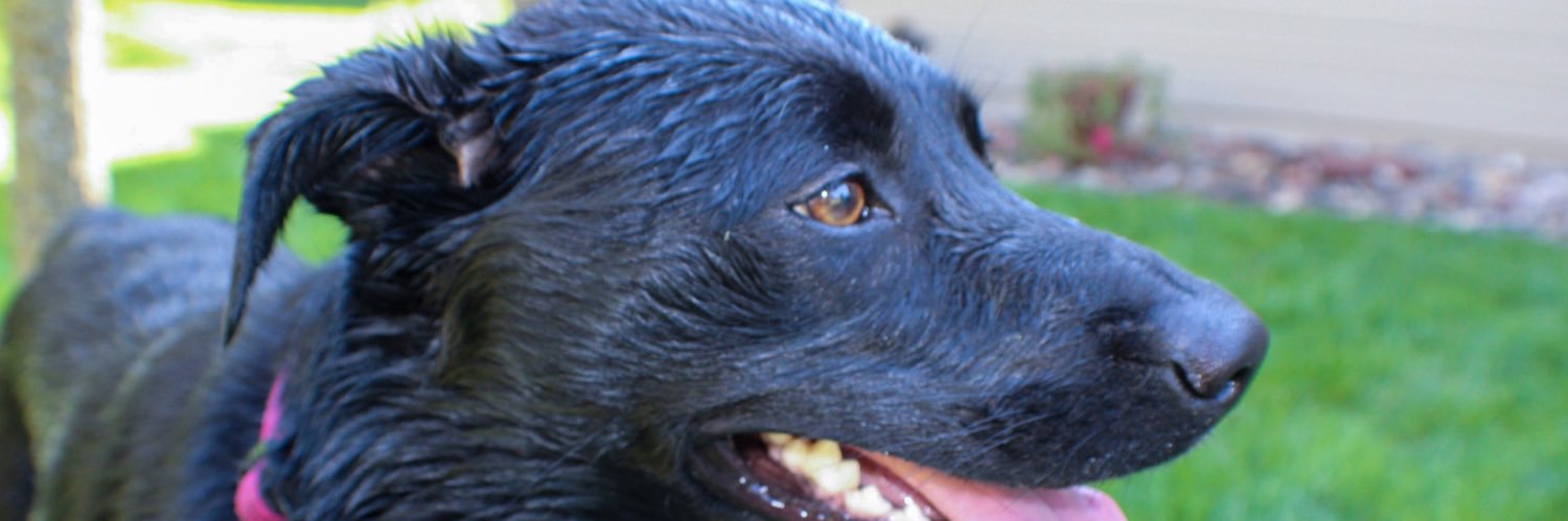 ZzKenny's profile banner image