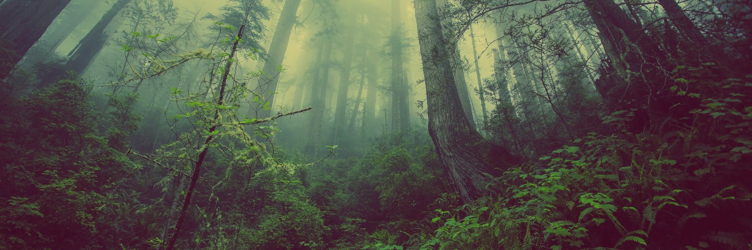 JorgeMSanchez_'s profile banner image
