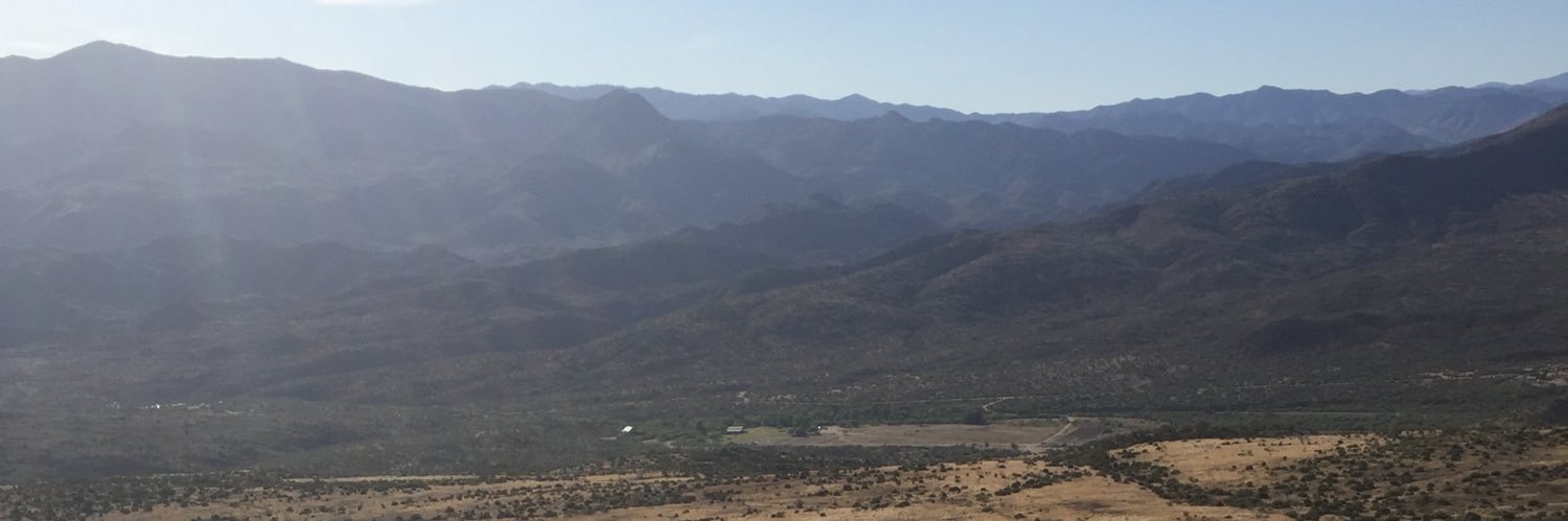 t_l_g banner