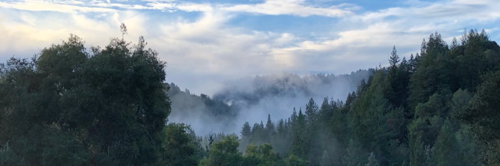 kate_beebe's profile banner image