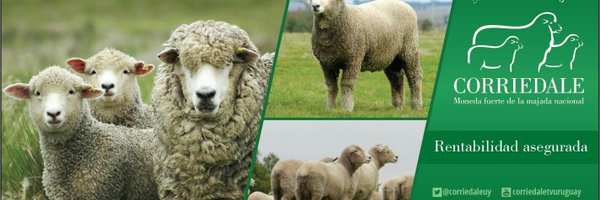 corriedaleuy Profile Banner