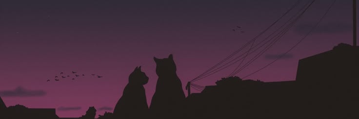 kooks_kooks's profile banner image