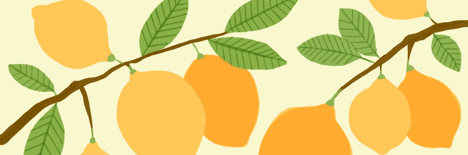 rayoflightdsign's profile banner image