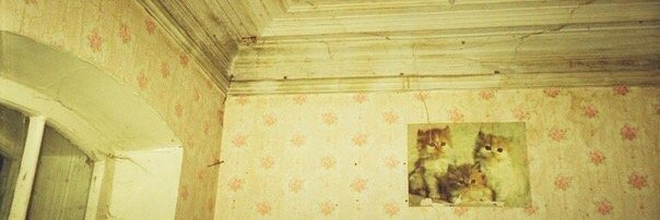 modest_kruger's profile banner image