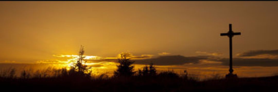 PDavis0220's profile banner image