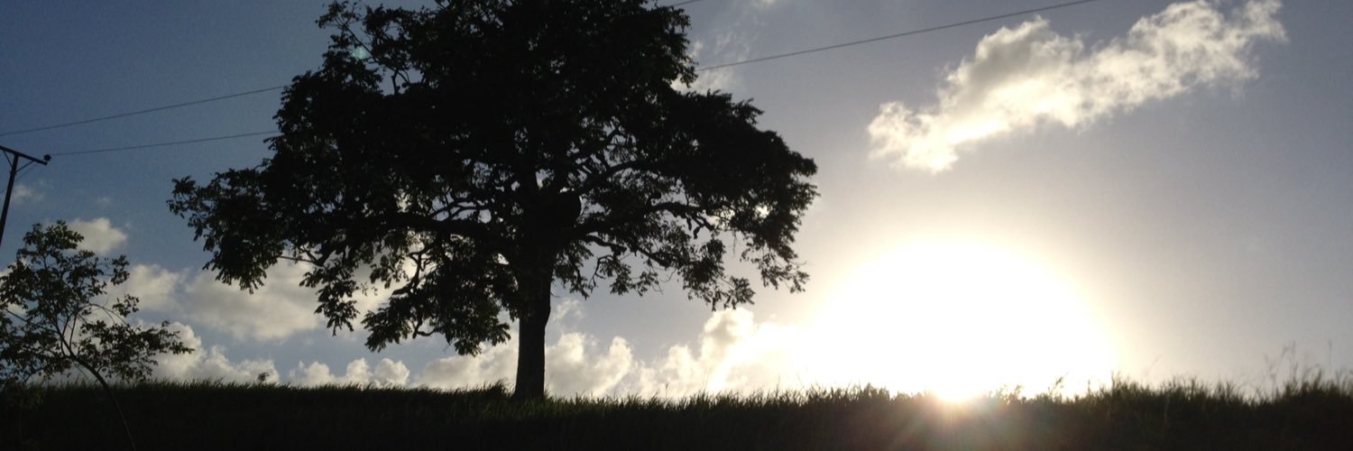 sg_stephany's profile banner image