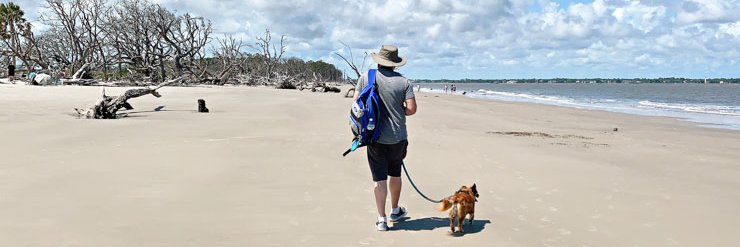 RoamingMyPlanet banner