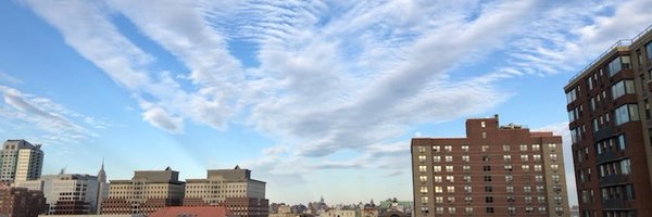 pdavidnelson Profile Banner