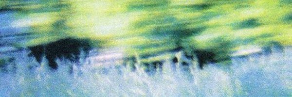 dimasvedovato Profile Banner