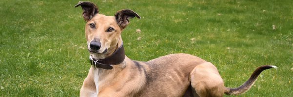 EReason1 Profile Banner