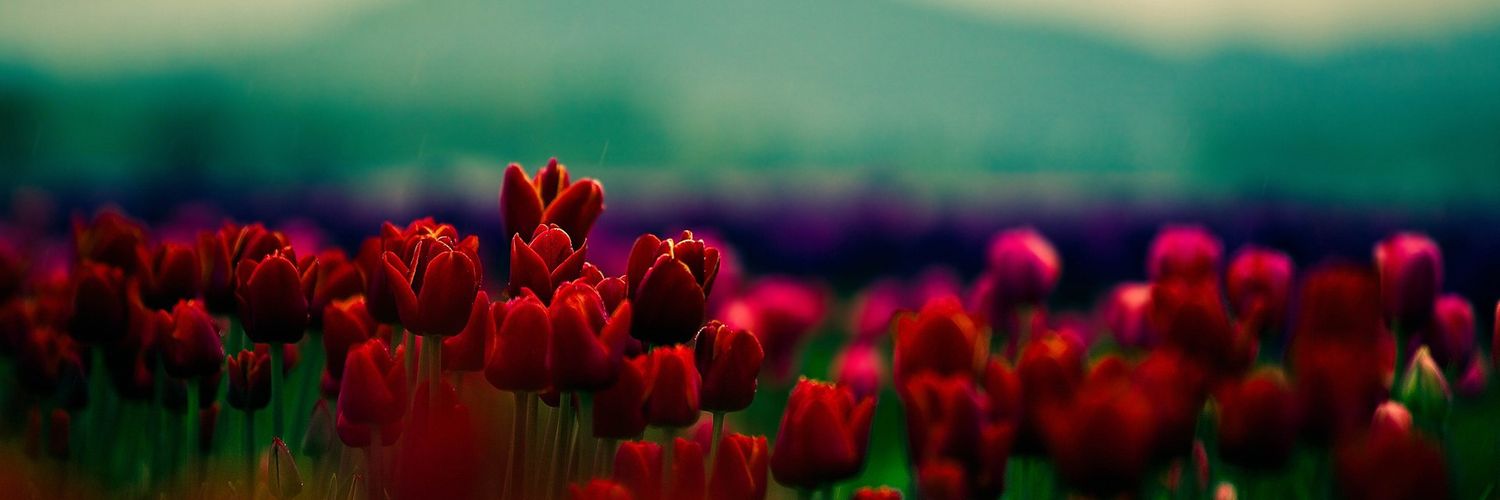 sadcupcake18's profile banner image