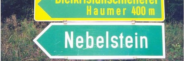 Marguerite Nebelsztein 🌻 banner