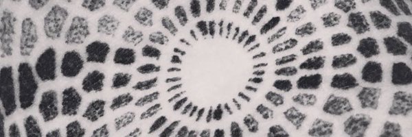 PopolJack Profile Banner