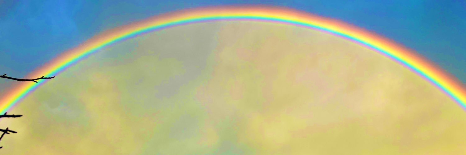 Henri van den Broek-Breuking banner