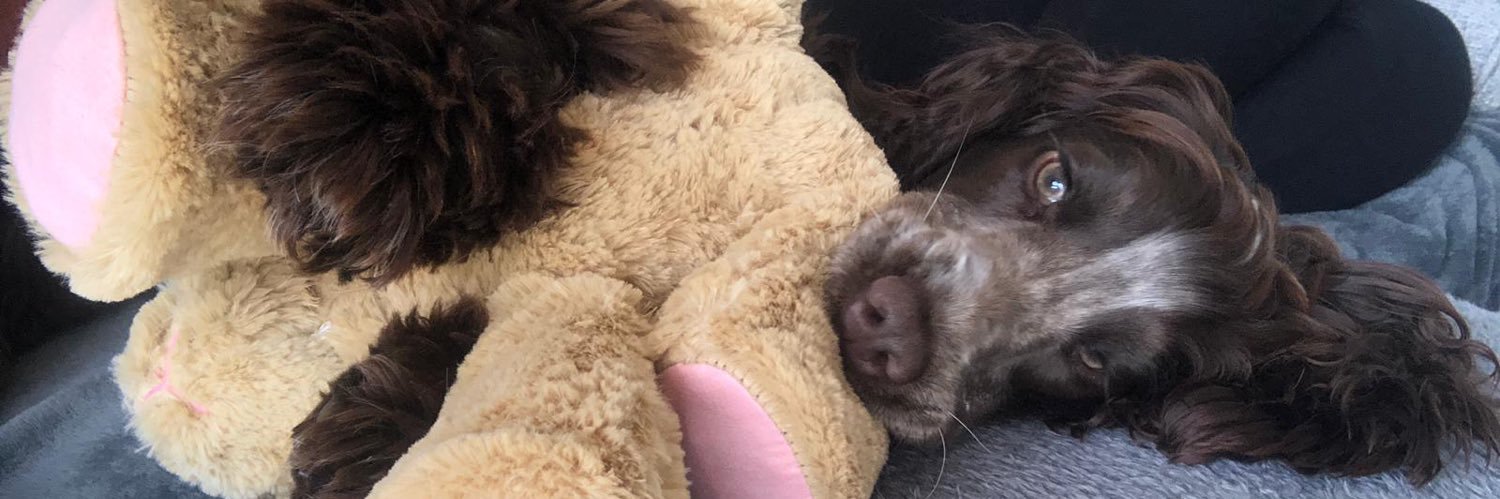 Elaine Butler banner