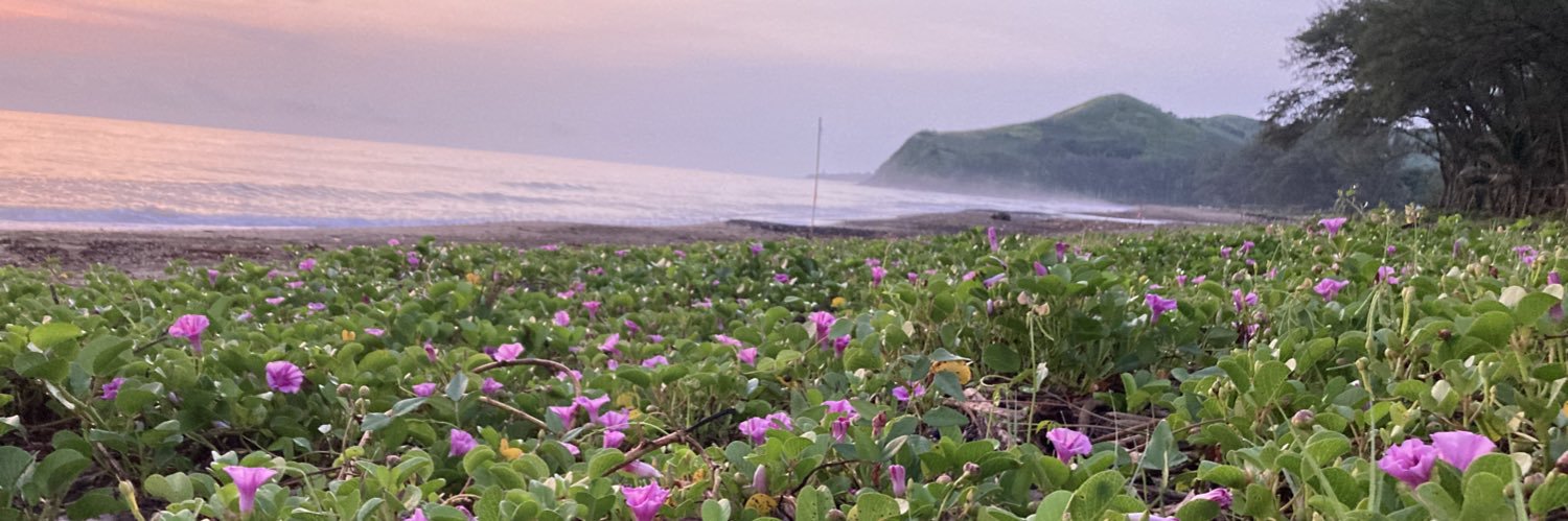 ن 👣Truzazulino Xalapeño banner