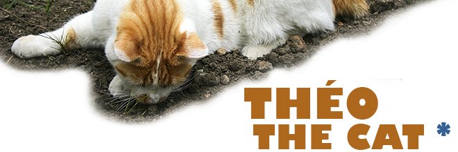 Theo-the-cat & Sybee banner