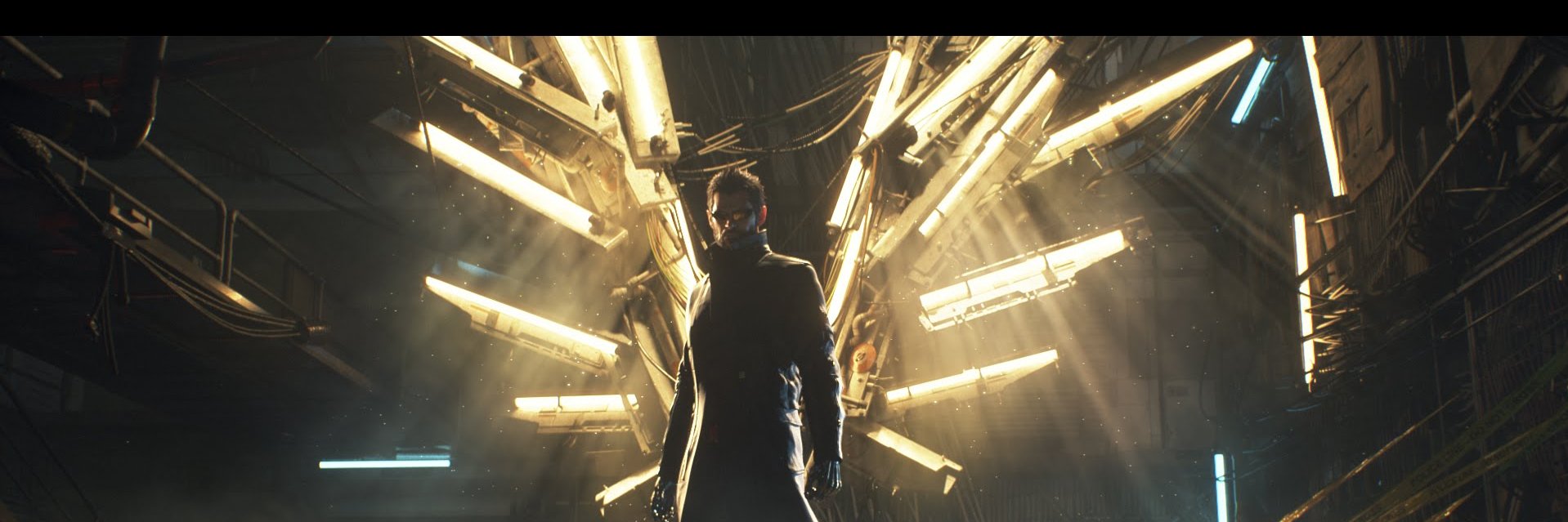 Ludovic Fougère banner