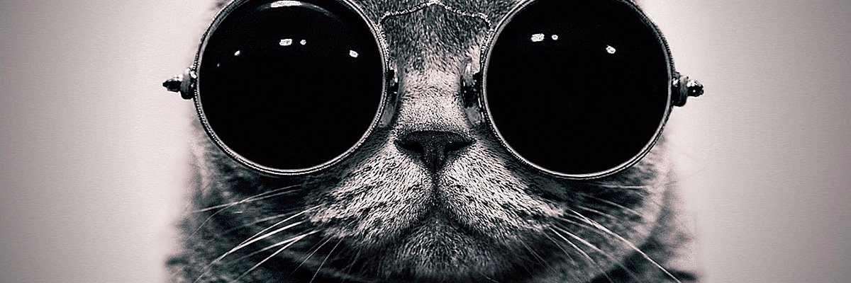 anniecollins_'s profile banner image