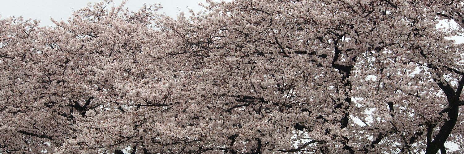gurimordyi's profile banner image