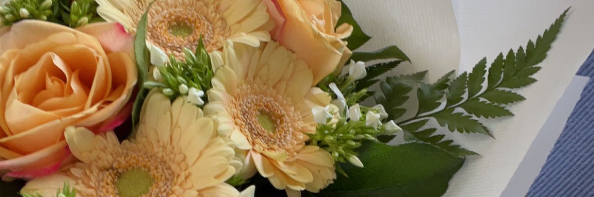 Coleen_prvst's profile banner image
