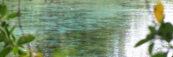 IornsLaw Profile Banner