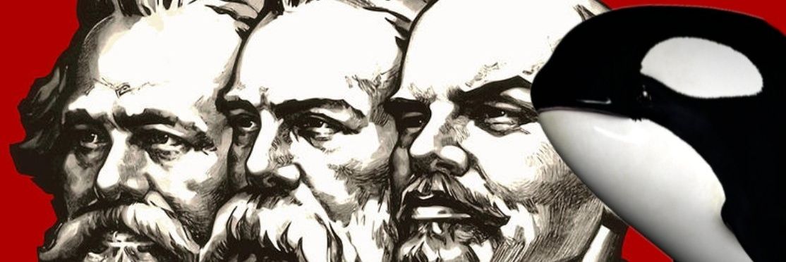 El Quinto banner