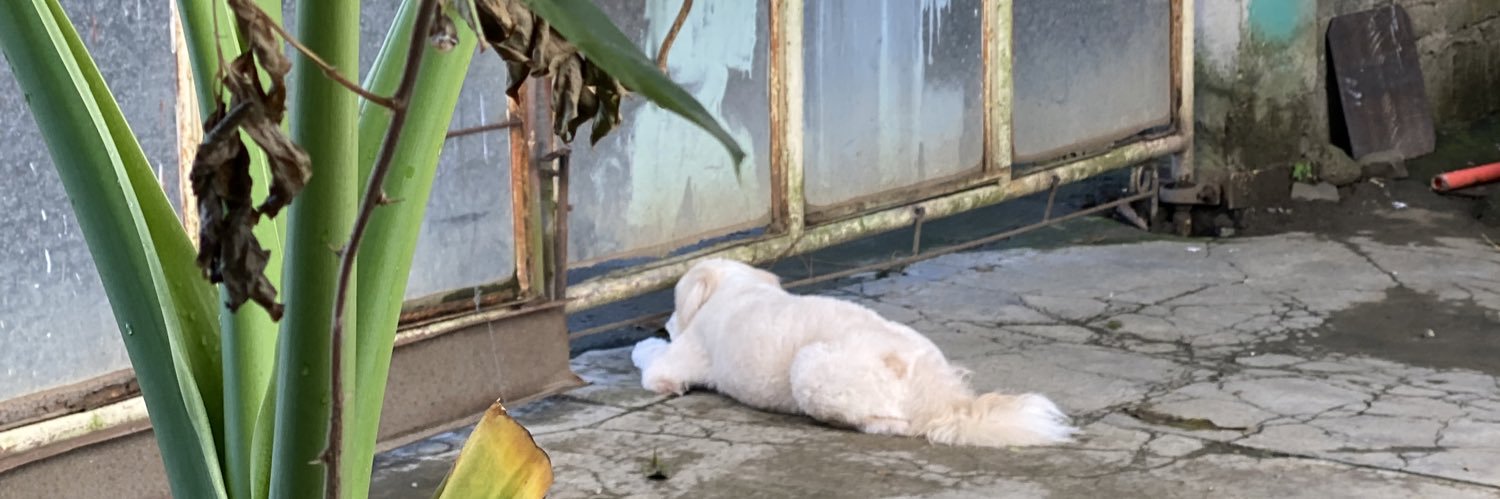 jessicaderay's profile banner image