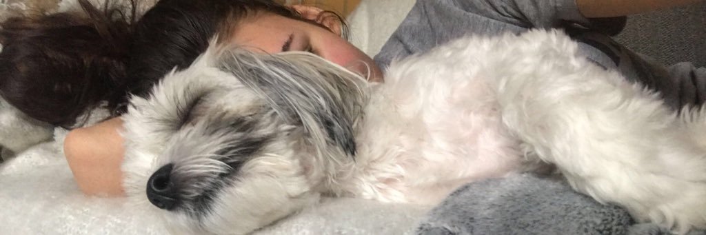 Amandasharpless's profile banner image