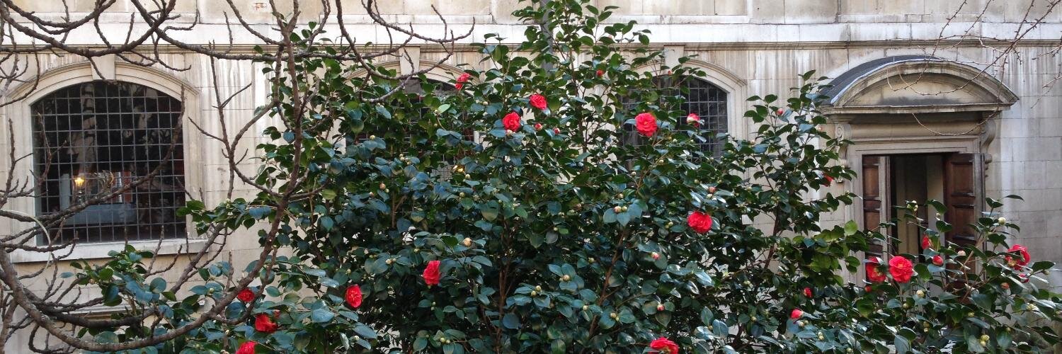 HilaryGander's profile banner image