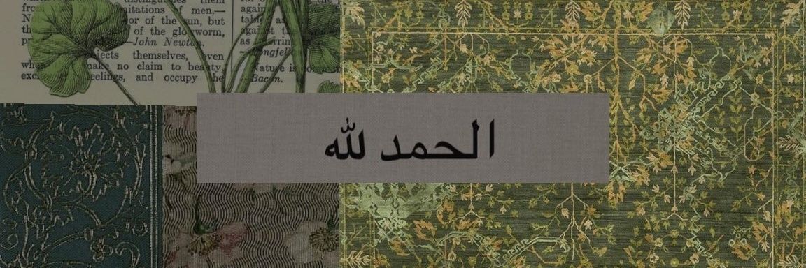 bilgeturkanben's profile banner image
