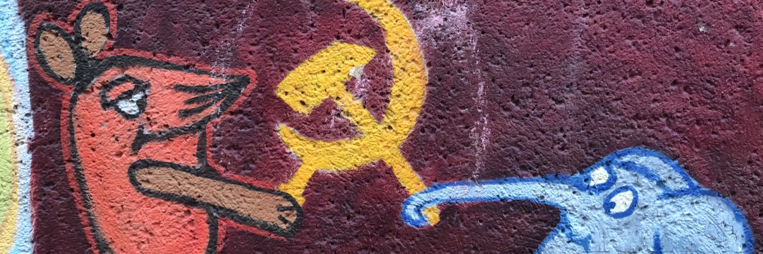misadaricli's profile banner image