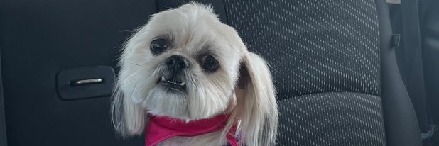 claudio_8973's profile banner image