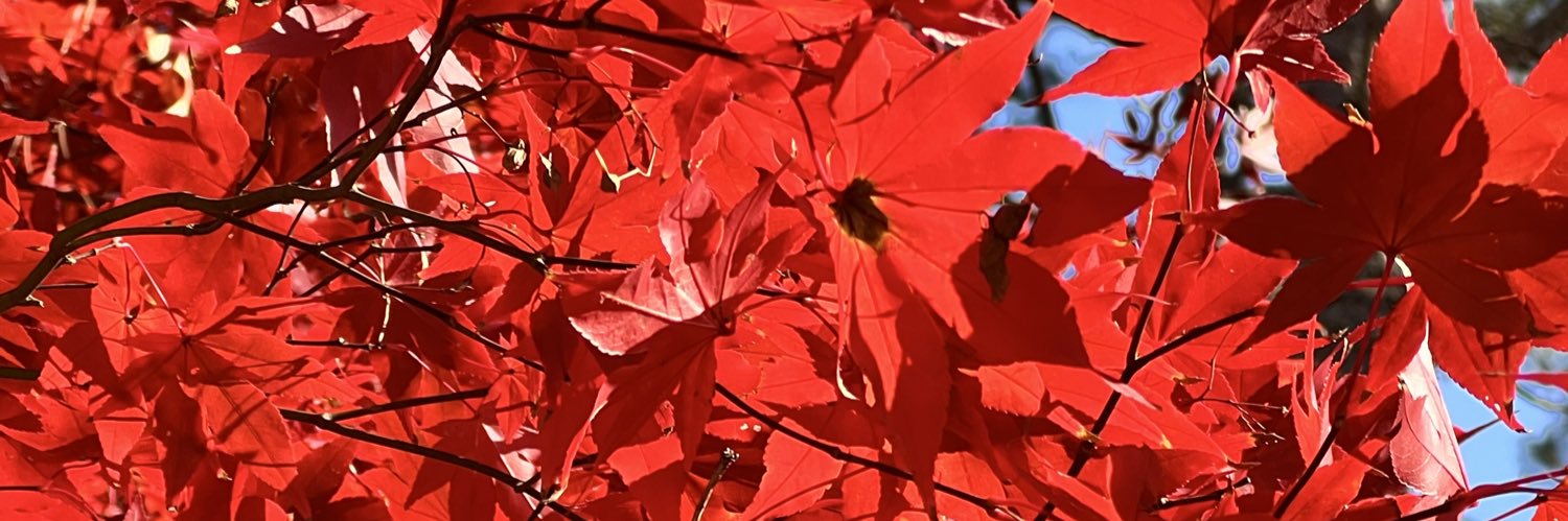 hddndoors's profile banner image