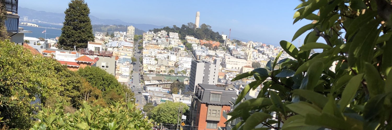 KoalaFanin's profile banner image