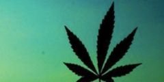 krllspllz's profile banner image